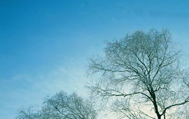 ddos服务器攻击手段